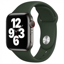 Apple Bracelet Sport...